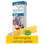 Naturhelix Körperkerzen mit Zitronengras-Öl, 10er-Packung